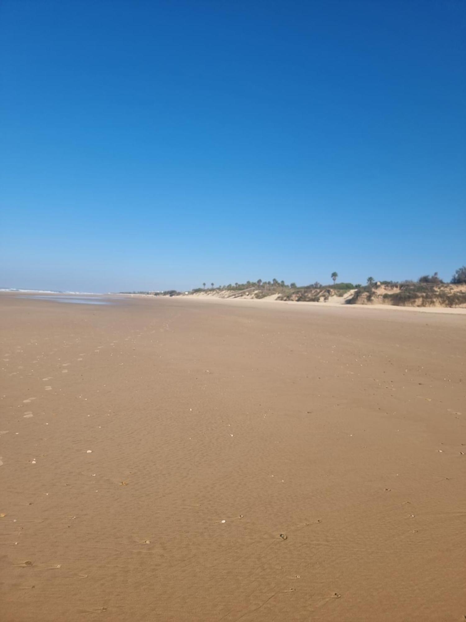 Costa Ballena - Urbanizacion Playa Azul - Chipiona Eksteriør billede